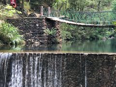 -大奇山国家森林公园