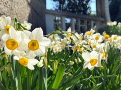 -船政文化景区-罗星塔公园