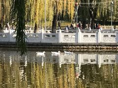 -丰台花园