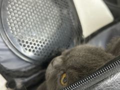 -中农国际动物医院24小时·猫科·骨科·急重症中心