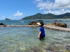 -西涌国际滨海旅游区