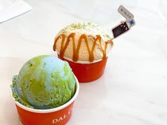 燕麦地球-Dal Cuore 达可芮冰淇淋(陕西北路店)