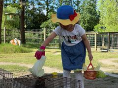 -前小桔亲子创意农场·草莓采摘·露营烧烤