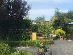 -大连金石滩绿发温泉假日酒店