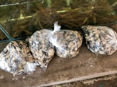 -蚝乡农庄(铁涌赤岸店)