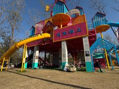 -合肥滨湖国家森林公园