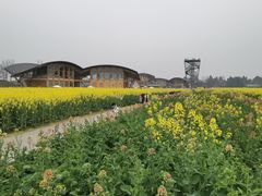 -中国天府农业博览园