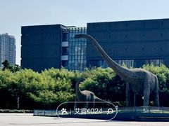 -安徽省地质博物馆