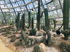 -芽庄珍珠岛游乐园