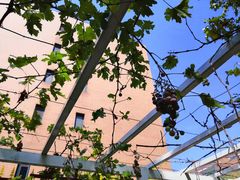 -吉而慧幼儿园-原红黄蓝幼儿园(世华水岸园)