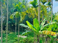 -南洋风味(万宁店)