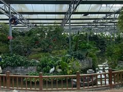 -嬉乐湾休闲旅游区