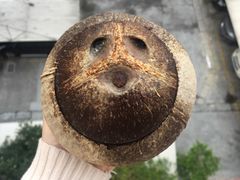 -椰爺爺·椰子冻砵仔糕