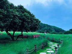-红花山公园