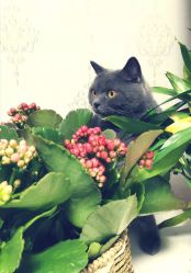 -艺匠摄影ARTIZ STUDIO(南京店)