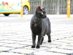 -淡水老街