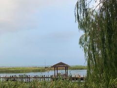 -苏州太湖湖滨国家湿地公园