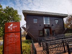 -金山农民画村-枫泾波兰倒置屋