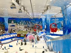 -湘江欢乐城欢乐雪域