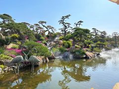 -罗红摄影艺术馆