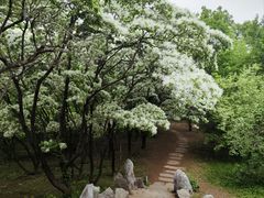 -国家植物园南园