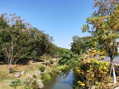 -羊山湖公园