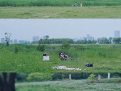 -苏州东太湖生态园