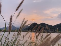 -花岙岛