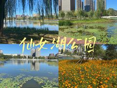 -仙女湖公园