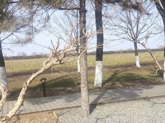 -汉长安城未央宫国家考古遗址公园