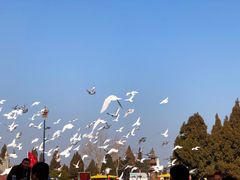 -龙口南山旅游景区