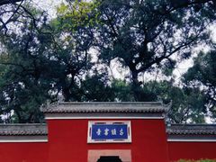 -子昂故里文化旅游区