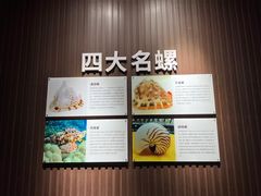 -贝壳王国博物馆