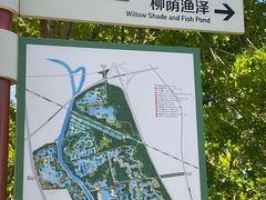 -东郊湿地公园