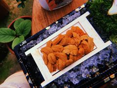 -满田家大排档(朝阳店)