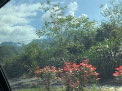 -大鄣山卧龙谷景区