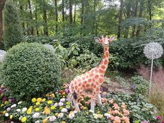 -上海共青森林公园