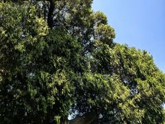 -金堂县云顶石城风景区