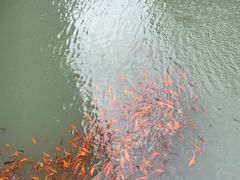 -温州永嘉书院