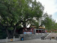 -北陵公园