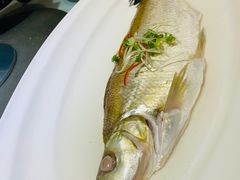-莲花餐饮(高新店)