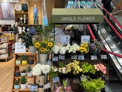 -优衣库(深圳万象天地旗舰店)