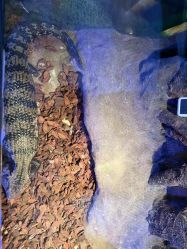 -酷嗒动物文化乐园(cutezoo西溪乐天城店)