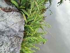 -龙头寺公园