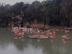 -宁波野生动物园