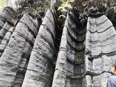 -梭布垭石林景区