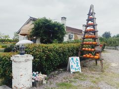 -嘉北郊野公园