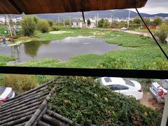 -翠田Green Field Kitchen