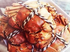 -小陆莲花蟹园农家乐(莲花岛店)