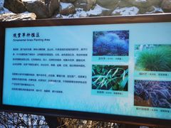 -大连植物园
